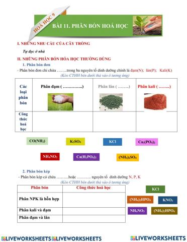 Phân bón hoá học 9