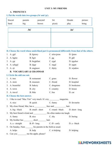 Y6 - Practice unit 3