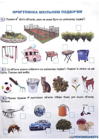 Природні та штучні об'єкти