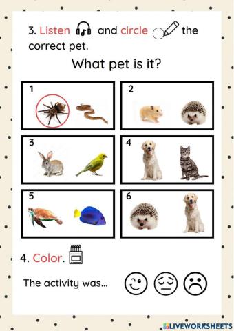 Select the correct Pet