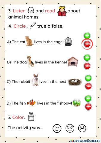 Read and select true or false