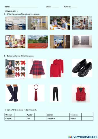 Vocabulary 1- school
