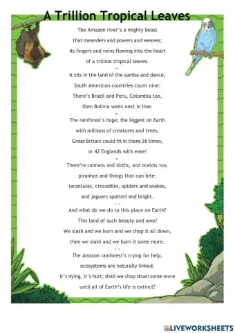 DIS English Term 1 Week 10 Lesson 3 and 4