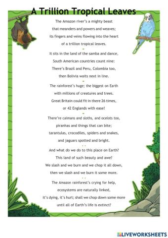 DIS English Term 1 Week 10 Lesson 3 and 4