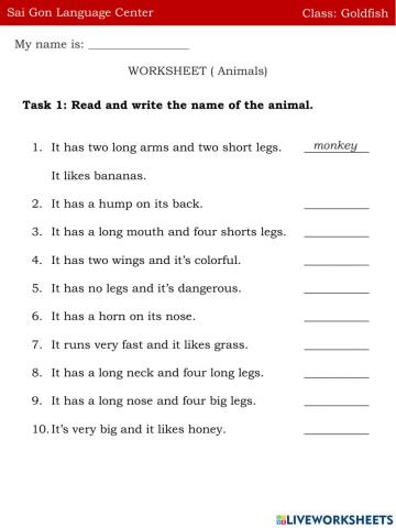 Class Goldfish 31-10