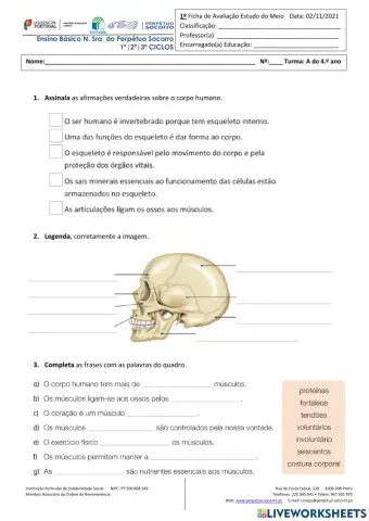 Ficha de avaliação intercalar