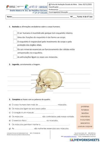 Ficha de avaliação intercalar