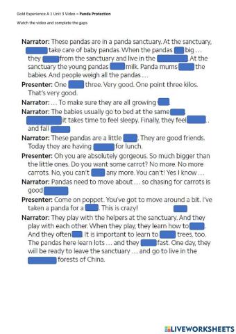 Panda Protection -Gold Experience A1