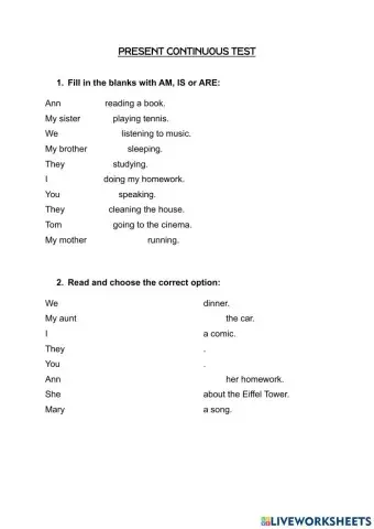 PRESENT CONTINOUS TEST