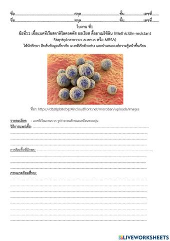 ใบงานที่ 1 ข้อ 11