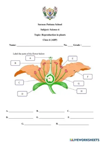 Parts of a flowering plant