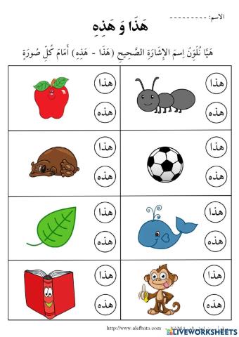 اسماء الاشارة - هذا و هذه