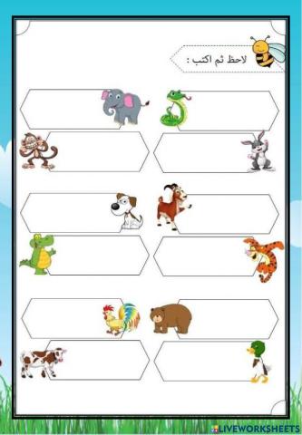 رفقا بالحيوانات