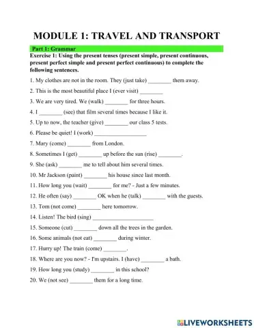 Module 1 Test: Travel and transport