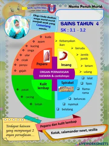 Sains Tahun 4 : Haiwan