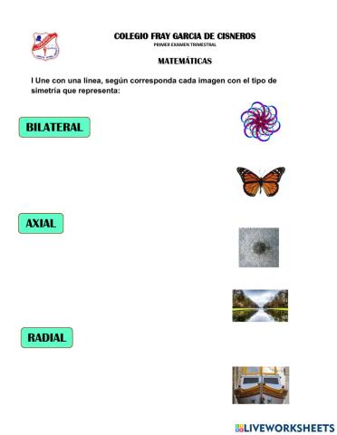Primer Examen Trimestral de matemáticas