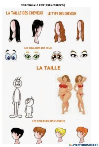 Sa description physique