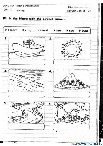 Module 9 Year 3 Test