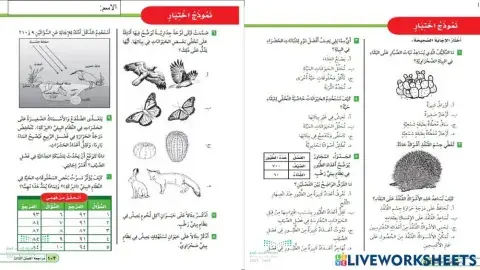 نموذج اختبار مراجعه الفصل الثالث