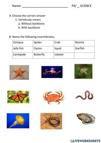 Invertebrates in water