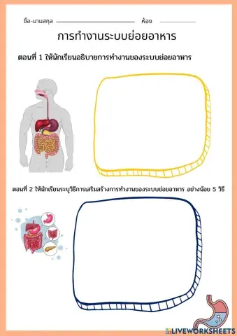 ระบบย่อยอาหาร