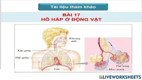 Hô hấp ở động vật - TLTK 5