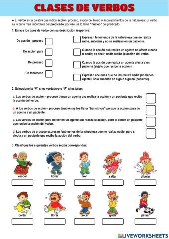 Clases de verbos
