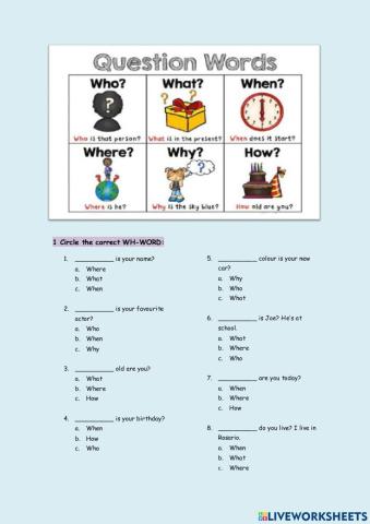 Wh- words and Wh- questions worksheet