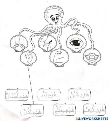 Bahasa Arab Tahun 2 Anggota Badan ms62