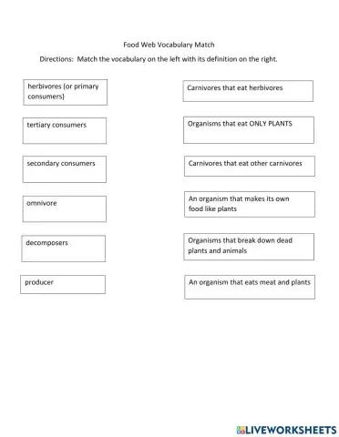 Food Web Vocabulary Match