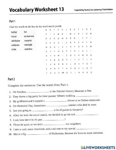 Vocabulary Worksheet 13