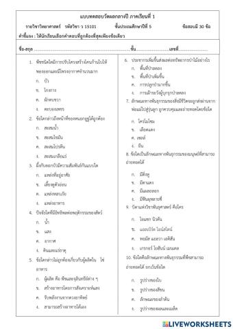แบบทดสอบวัดผลกลางปี