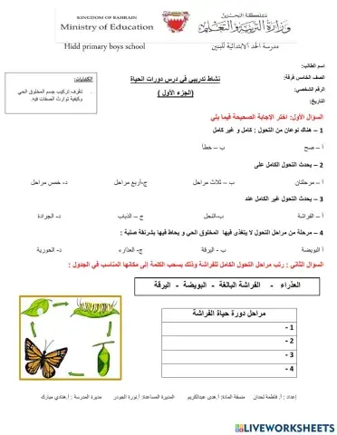 دورات الحياة