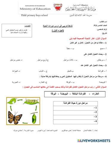 دورات الحياة