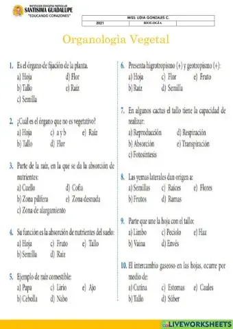 Organologìa vegetal I