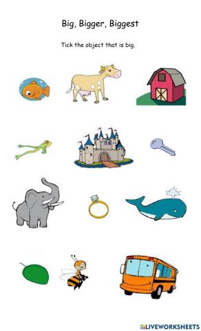 Big, Bigger, Biggest