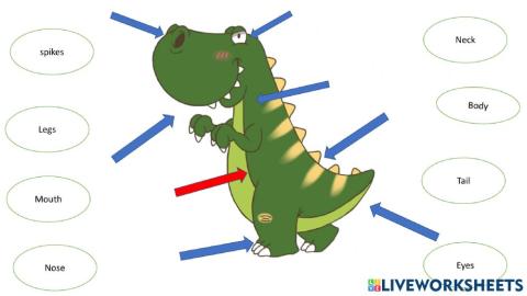 Body parts of Dinosaur