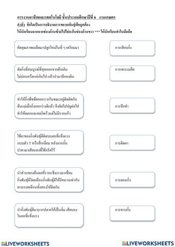 การขยายพันธุ์พืชการขยายพันธุ์พืช