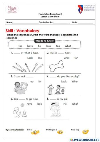 Grade 1 Vocabulary and Possesive Nouns