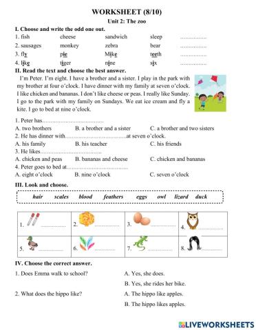 Worksheet 8-10