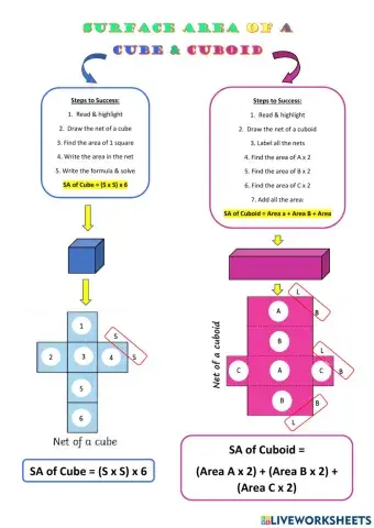 Surface Area of a Cube & Cuboid