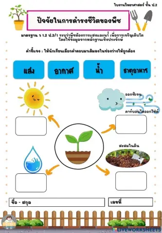ปัจจัยในการดำรงชีวิตของพืช ป.2