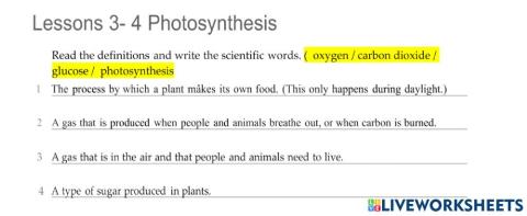 Photosynthesis