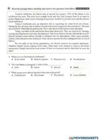 For A Better Tomorrow