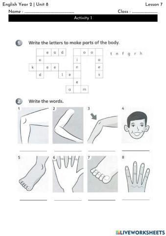 English Year 2 The Robot - Lesson 7.1
