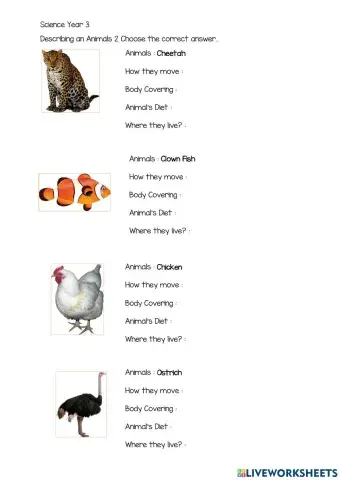 Animal Description 2