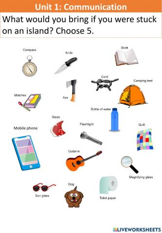 Unit 1: Communication