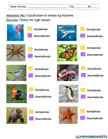 Vertebrate and Invertebrate