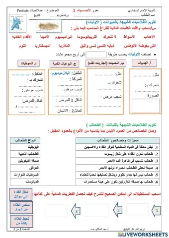 تنوع الطلائعيات تفاعلية