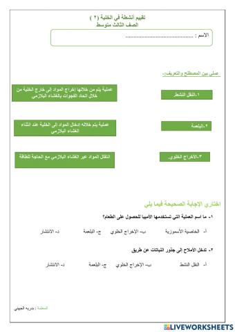 المملكة العربية السعودية